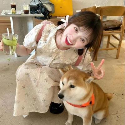 洛迪