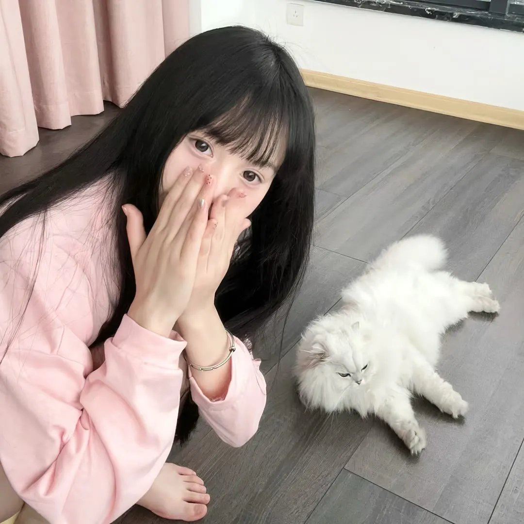 功夫灌篮